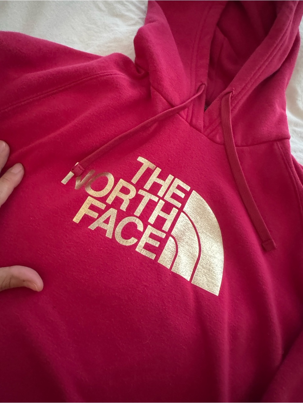 The North Face sweatshirt hoodie